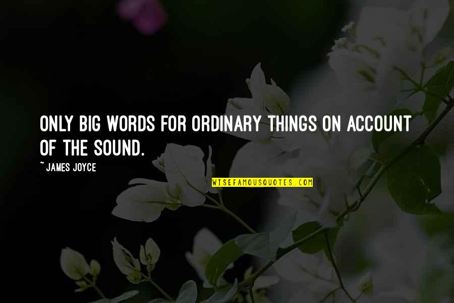 On Account Of Quotes By James Joyce: Only big words for ordinary things on account