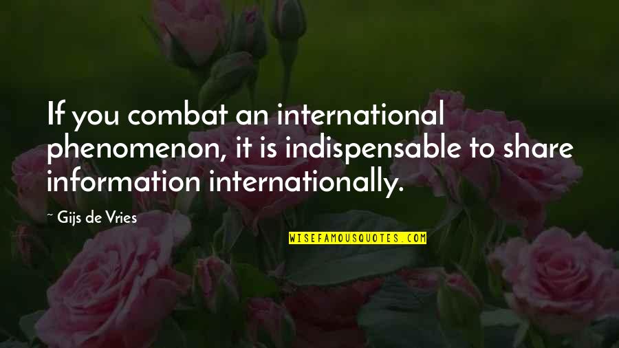 On Combat Quotes By Gijs De Vries: If you combat an international phenomenon, it is