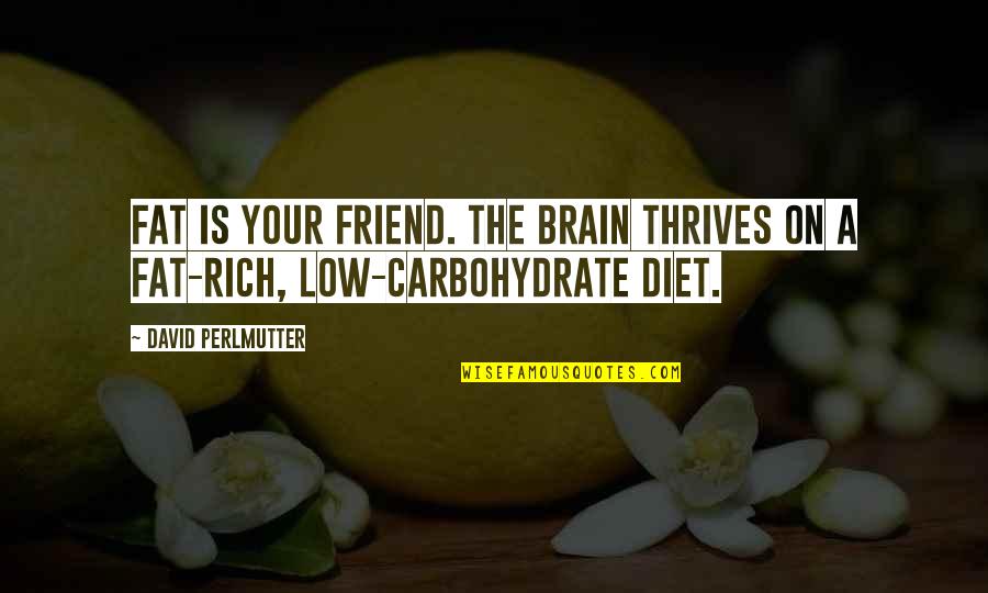 On Diet Quotes By David Perlmutter: Fat is your friend. The brain thrives on On Diet Quotes By David Perlmutter: Fat is your friend. The brain thrives on