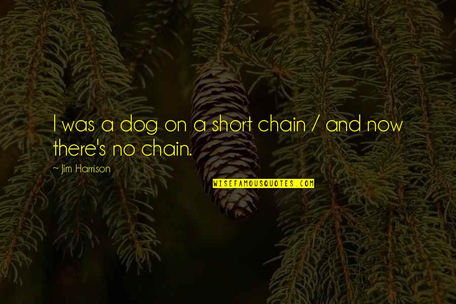 On Freedom Quotes By Jim Harrison: I was a dog on a short chain On Freedom Quotes By Jim Harrison: I was a dog on a short chain