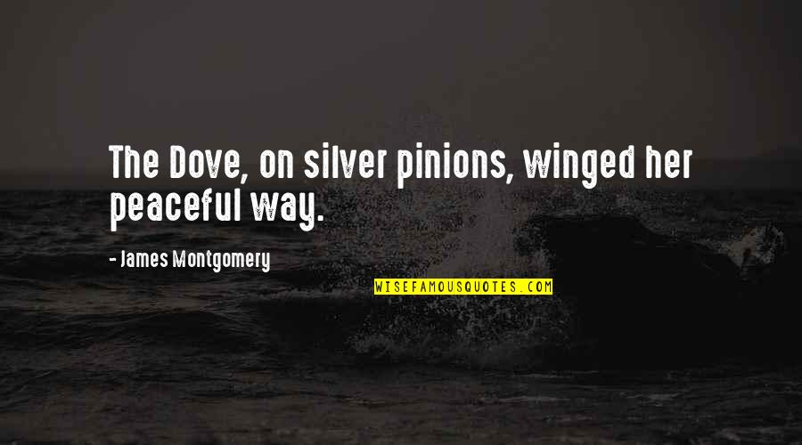 On Her Way Quotes By James Montgomery: The Dove, on silver pinions, winged her peaceful