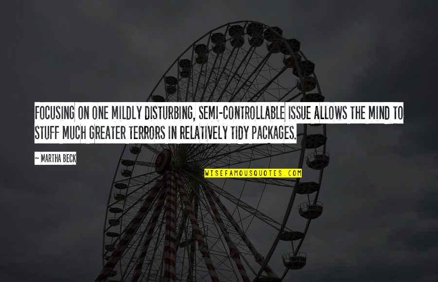 On Semi Quotes By Martha Beck: Focusing on one mildly disturbing, semi-controllable issue allows