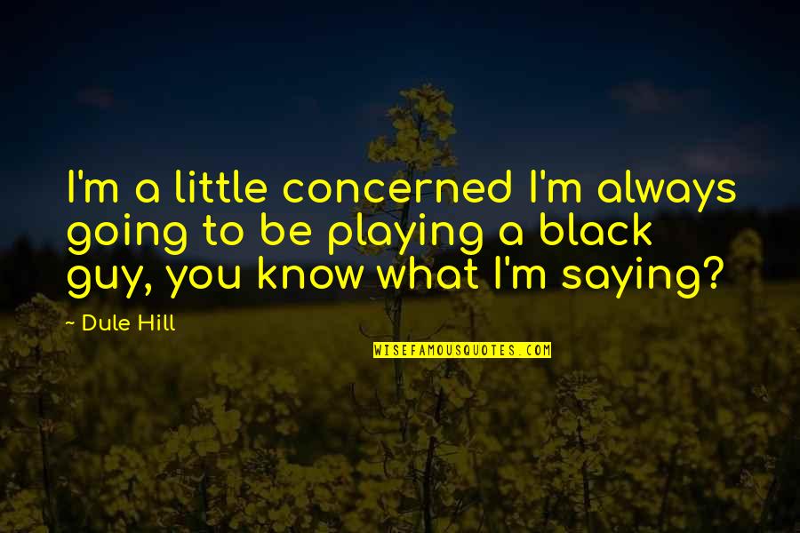 On The Black Hill Quotes By Dule Hill: I'm a little concerned I'm always going to