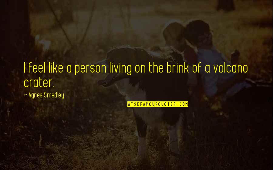 On The Brink Quotes By Agnes Smedley: I feel like a person living on the