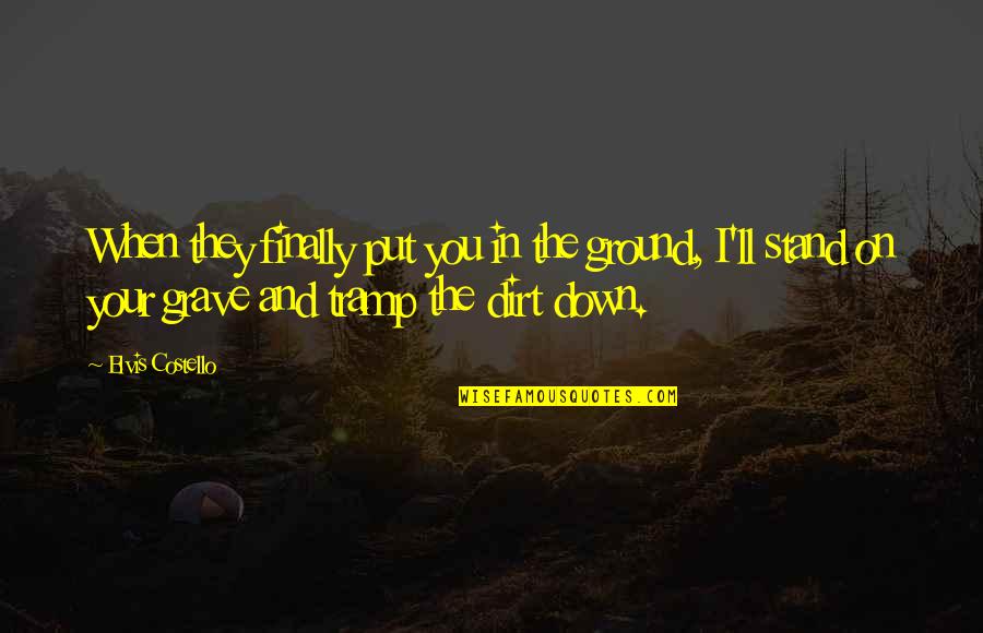 On The Ground Quotes By Elvis Costello: When they finally put you in the ground,