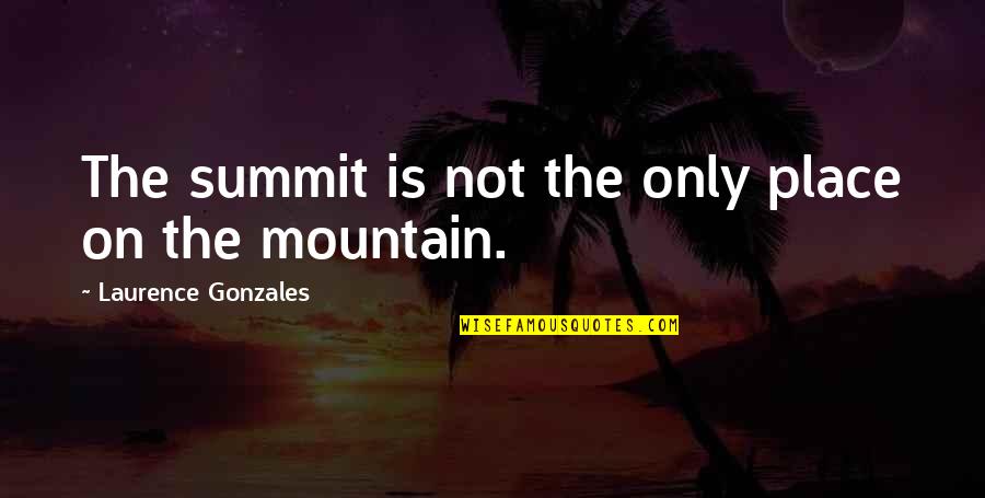 On The Mountain Quotes By Laurence Gonzales: The summit is not the only place on