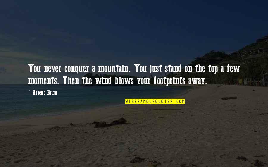 On The Mountain Top Quotes By Arlene Blum: You never conquer a mountain. You just stand On The Mountain Top Quotes By Arlene Blum: You never conquer a mountain. You just stand