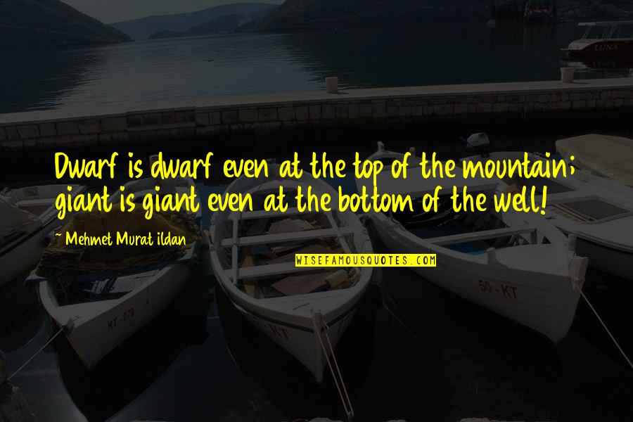 On The Mountain Top Quotes By Mehmet Murat Ildan: Dwarf is dwarf even at the top of On The Mountain Top Quotes By Mehmet Murat Ildan: Dwarf is dwarf even at the top of