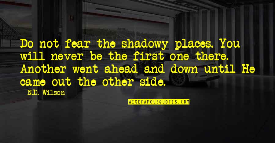 On The Other Side Of Fear Quotes By N.D. Wilson: Do not fear the shadowy places. You will
