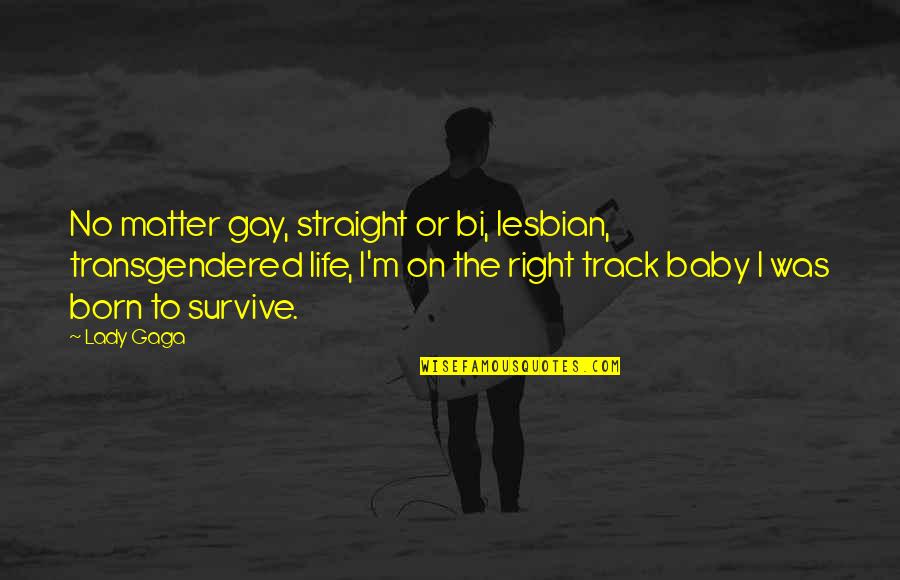 On The Right Track Quotes By Lady Gaga: No matter gay, straight or bi, lesbian, transgendered