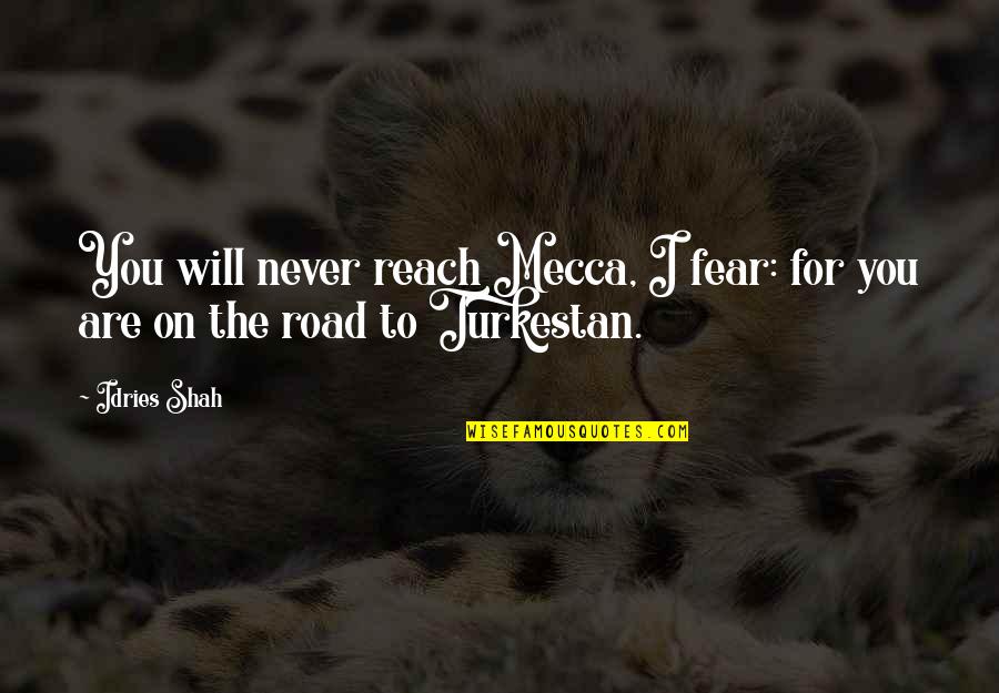 On The Road Quotes By Idries Shah: You will never reach Mecca, I fear: for