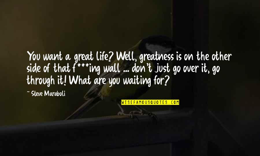 On The Wall Quotes By Steve Maraboli: You want a great life? Well, greatness is