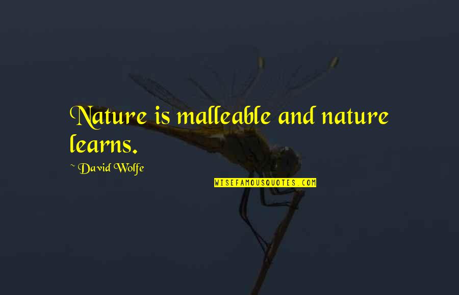 Onate Feed Quotes By David Wolfe: Nature is malleable and nature learns.