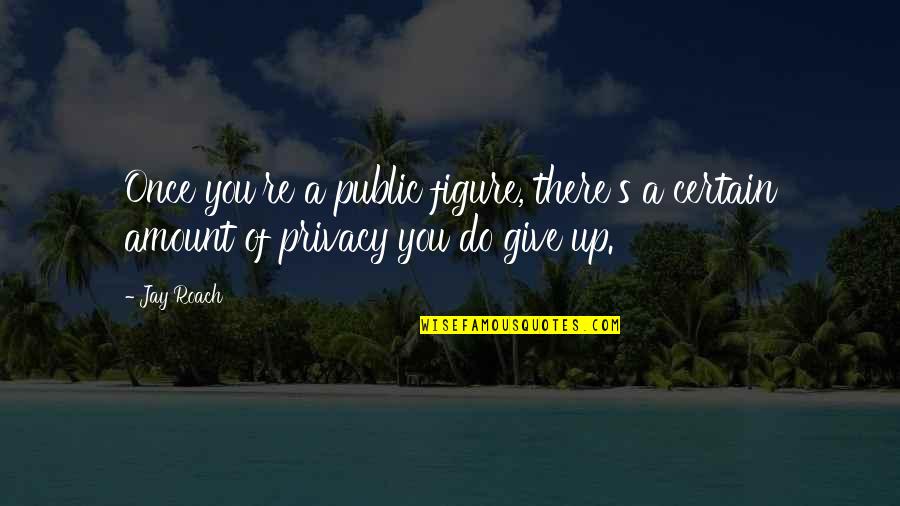 Once I Give Up On You Quotes By Jay Roach: Once you're a public figure, there's a certain