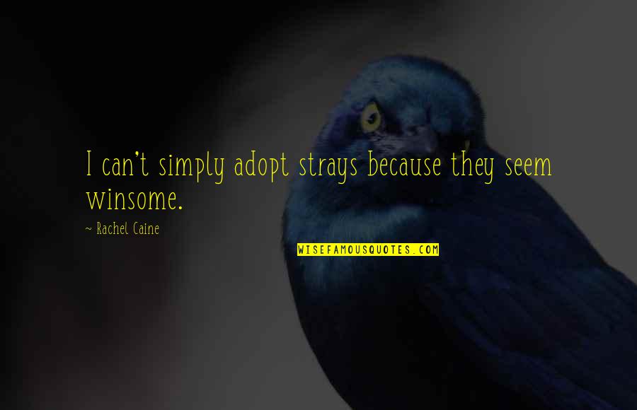 Once Is Enough For A Wise Man Quotes By Rachel Caine: I can't simply adopt strays because they seem