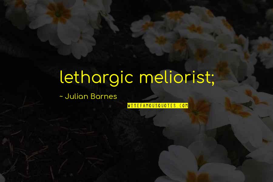 Once You Are Famous Quotes By Julian Barnes: lethargic meliorist;