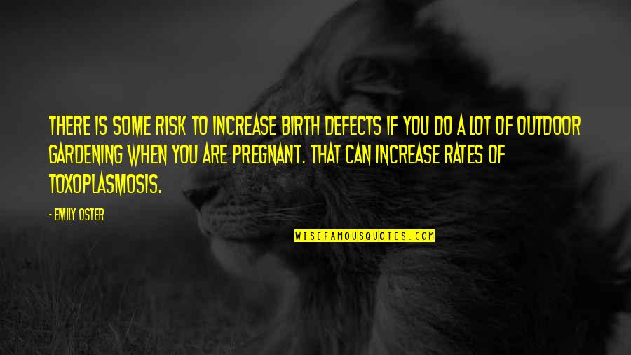 Oncology Famous Quotes By Emily Oster: There is some risk to increase birth defects Oncology Famous Quotes By Emily Oster: There is some risk to increase birth defects