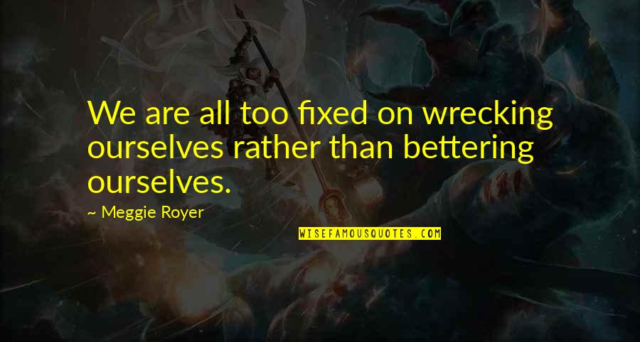 Onderscheiden Vertalen Quotes By Meggie Royer: We are all too fixed on wrecking ourselves