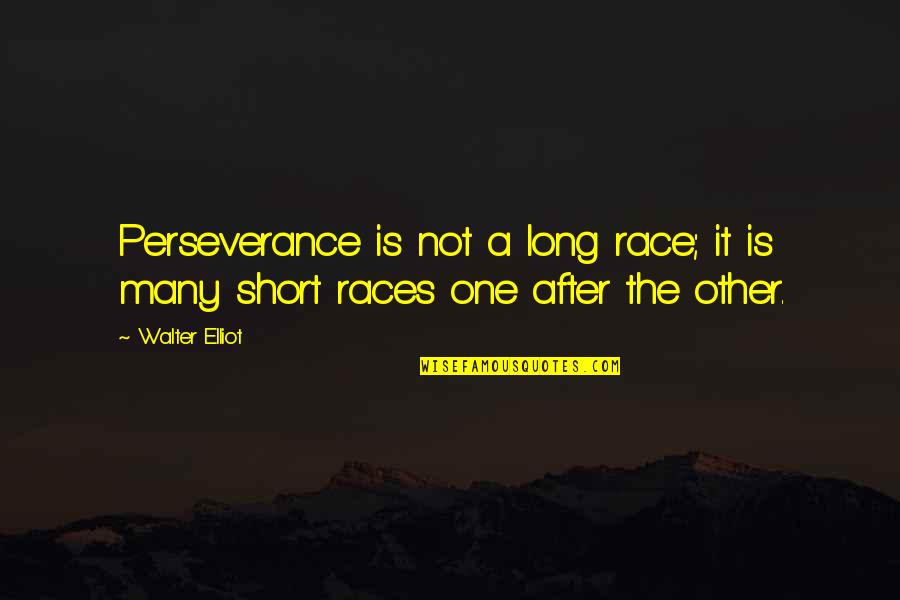 One After The Other Quotes By Walter Elliot: Perseverance is not a long race; it is