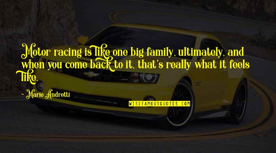 One Big Family Quotes By Mario Andretti: Motor racing is like one big family, ultimately,