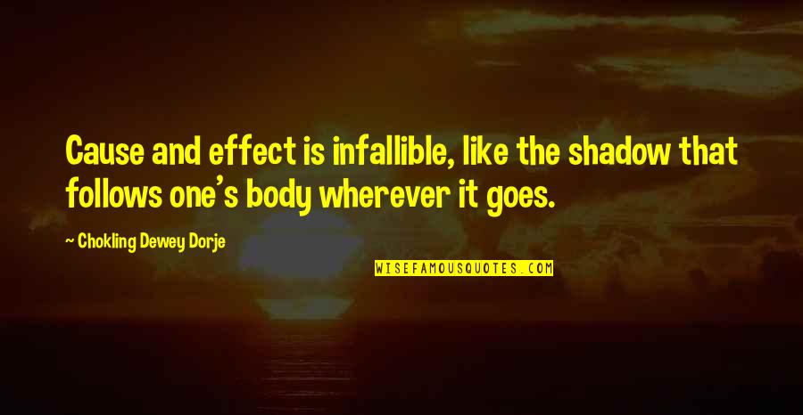 One Body Quotes By Chokling Dewey Dorje: Cause and effect is infallible, like the shadow One Body Quotes By Chokling Dewey Dorje: Cause and effect is infallible, like the shadow