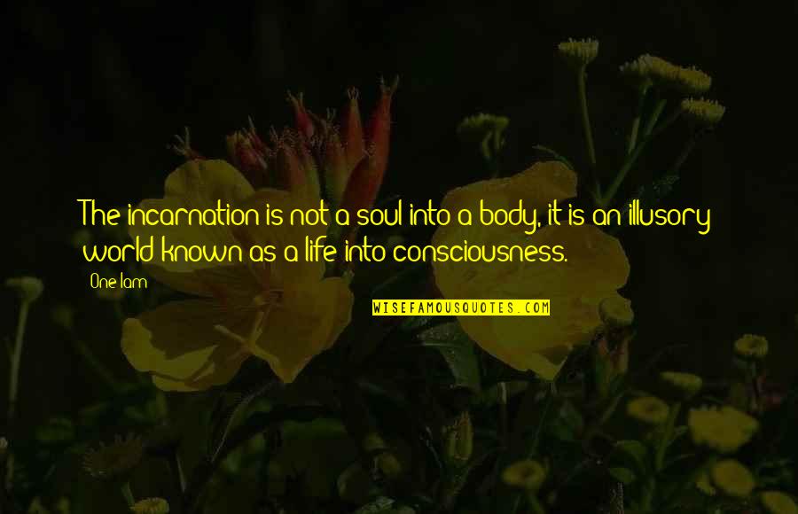 One Body Quotes By One Iam: The incarnation is not a soul into a One Body Quotes By One Iam: The incarnation is not a soul into a