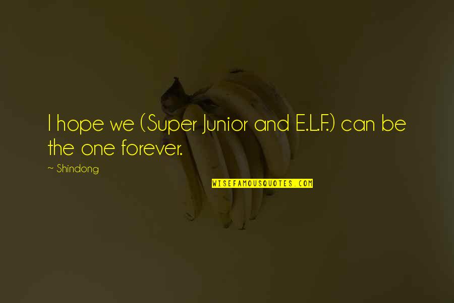 One Can Only Hope Quotes By Shindong: I hope we (Super Junior and E.L.F.) can