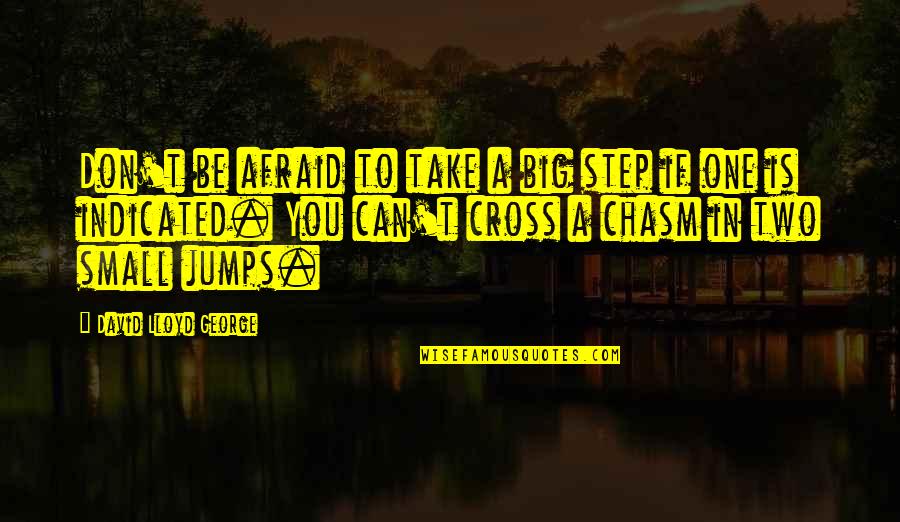 One Can Only Take So Much Quotes By David Lloyd George: Don't be afraid to take a big step