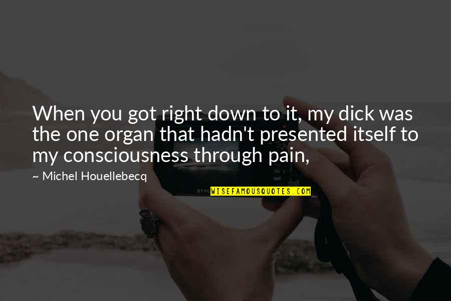 One Consciousness Quotes By Michel Houellebecq: When you got right down to it, my