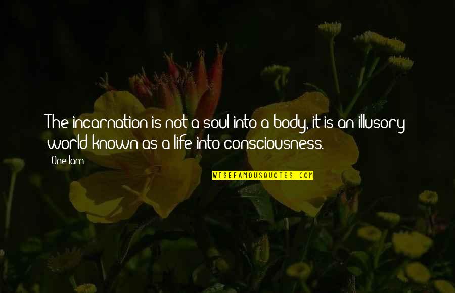 One Consciousness Quotes By One Iam: The incarnation is not a soul into a