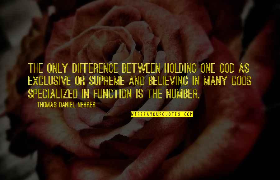 One Consciousness Quotes By Thomas Daniel Nehrer: The only difference between holding one god as