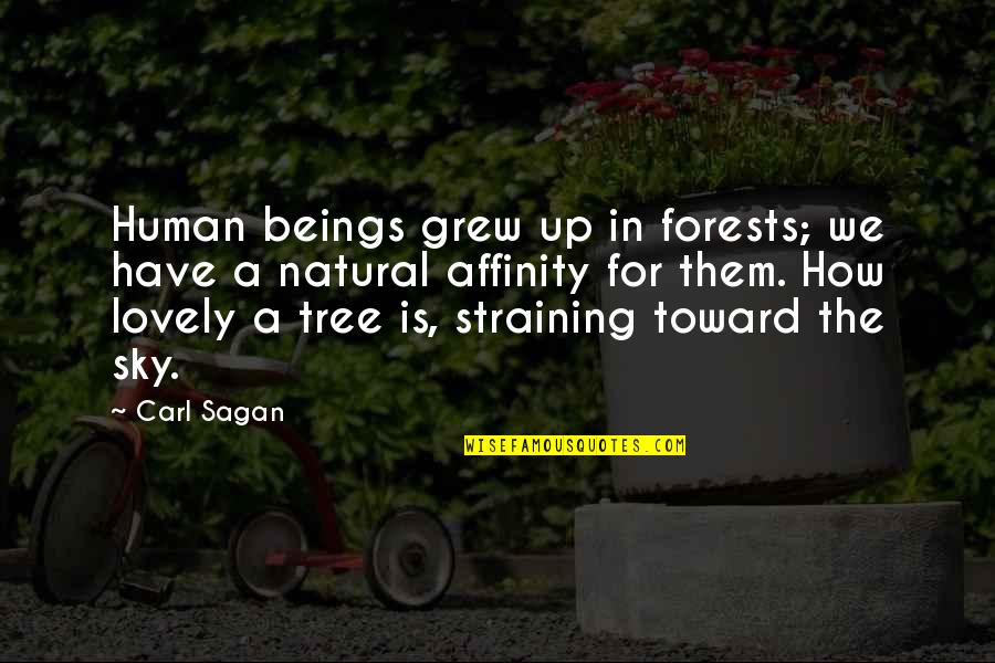 One Day I Will Stop Caring Quotes By Carl Sagan: Human beings grew up in forests; we have