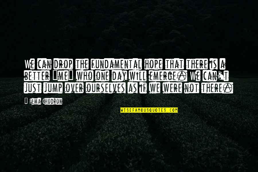 One Day It Will Be Better Quotes By Pema Chodron: We can drop the fundamental hope that there