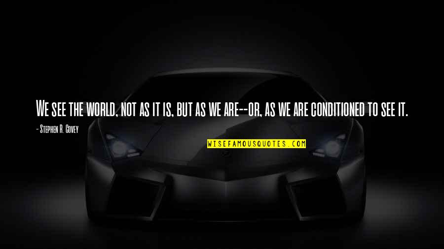 One Day When I Have Prince And Princesses Quotes By Stephen R. Covey: We see the world, not as it is, One Day When I Have Prince And Princesses Quotes By Stephen R. Covey: We see the world, not as it is,