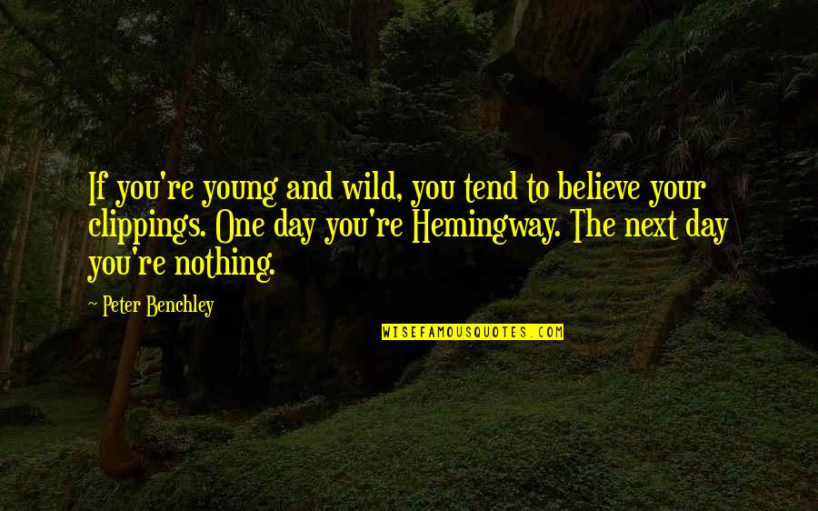 One Day You Quotes By Peter Benchley: If you're young and wild, you tend to
