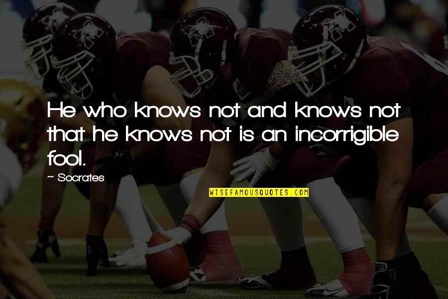 One Day You Realize My Love Quotes By Socrates: He who knows not and knows not that