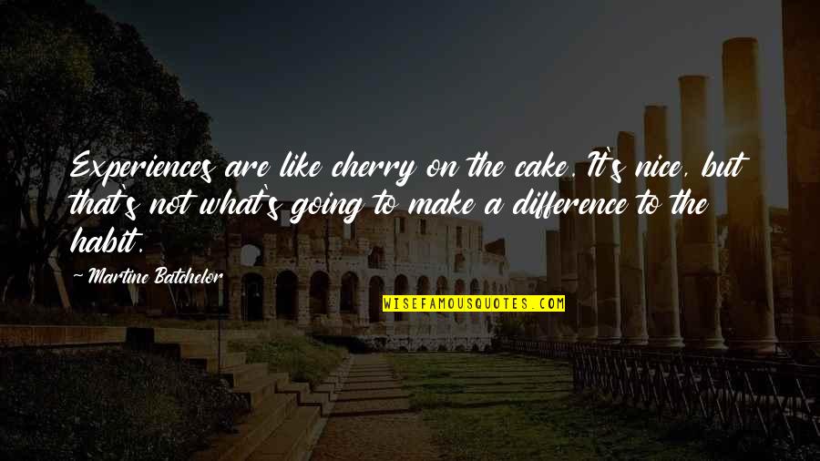 One Day You'll Look Back And Realize Quotes By Martine Batchelor: Experiences are like cherry on the cake. It's