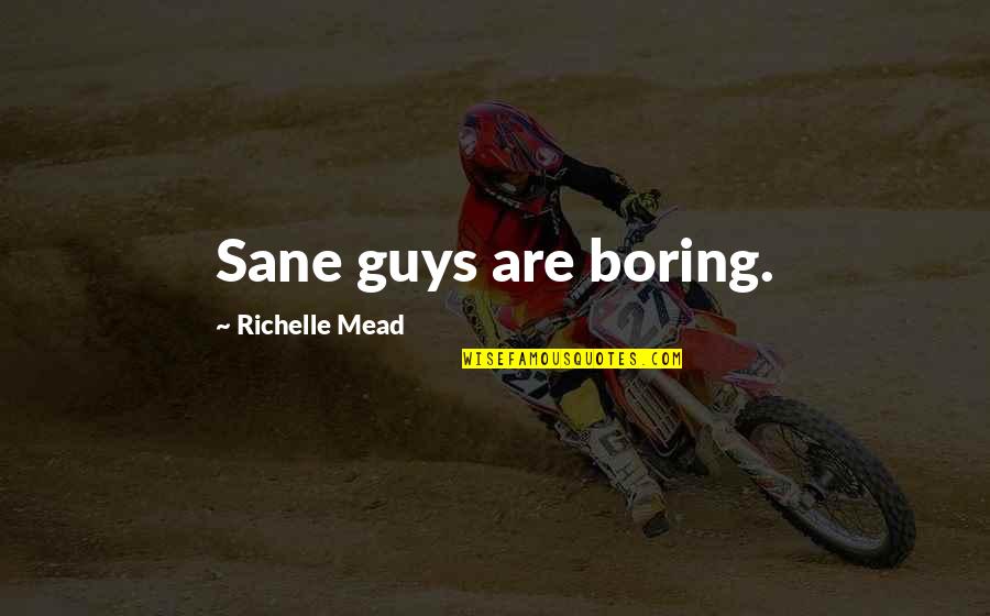 One Day You're Gonna Realize Quotes By Richelle Mead: Sane guys are boring.