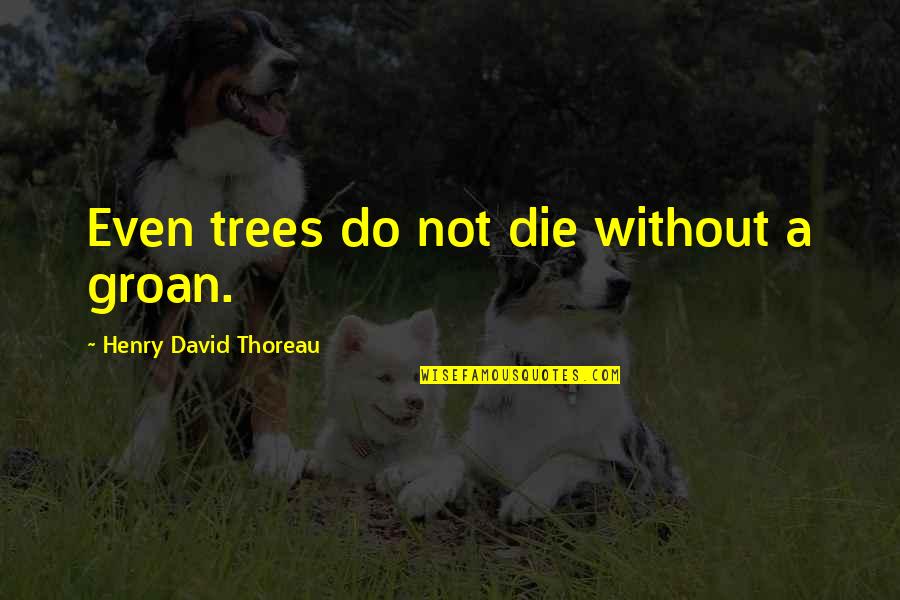 One Direction Lyrics Quotes By Henry David Thoreau: Even trees do not die without a groan. One Direction Lyrics Quotes By Henry David Thoreau: Even trees do not die without a groan.