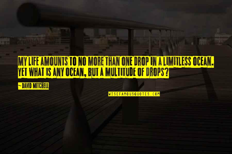 One Drop In The Ocean Quotes By David Mitchell: My life amounts to no more than one