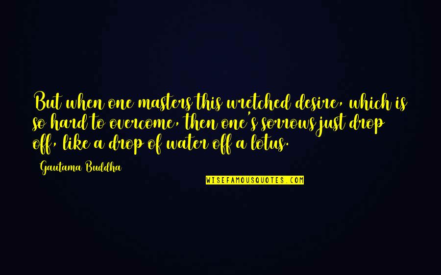 One Drop Of Water Quotes By Gautama Buddha: But when one masters this wretched desire, which