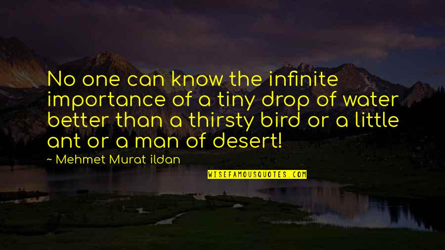 One Drop Of Water Quotes By Mehmet Murat Ildan: No one can know the infinite importance of