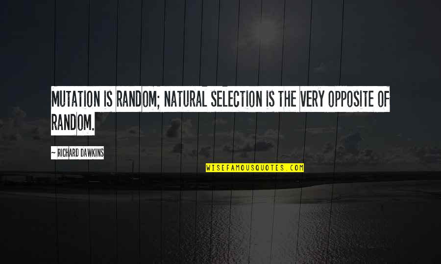 One Extraordinary Marriage Quotes By Richard Dawkins: Mutation is random; natural selection is the very One Extraordinary Marriage Quotes By Richard Dawkins: Mutation is random; natural selection is the very
