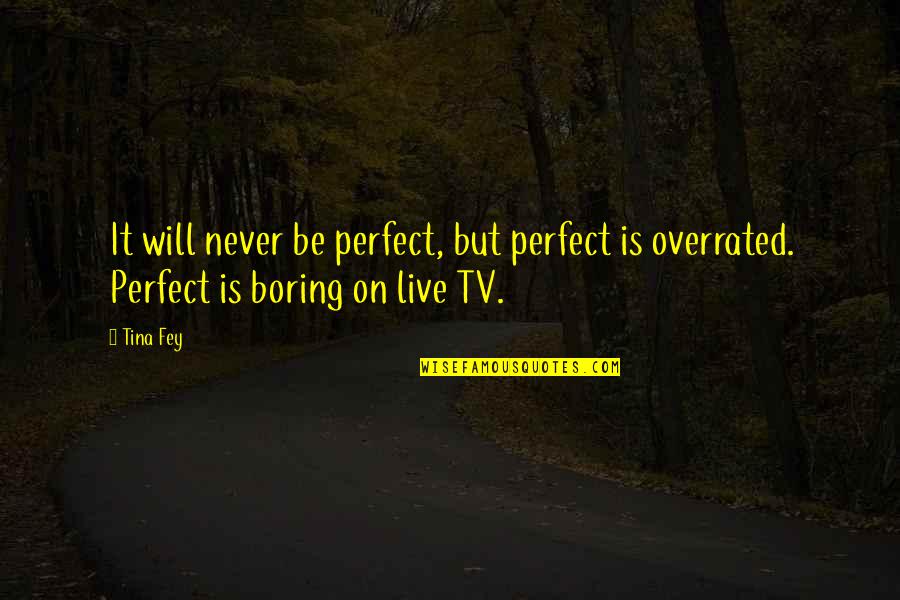 One Flea Spare Quotes By Tina Fey: It will never be perfect, but perfect is
