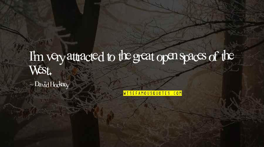 One Flew Over The Cuckoos Nest Control Quotes By David Hockney: I'm very attracted to the great open spaces One Flew Over The Cuckoos Nest Control Quotes By David Hockney: I'm very attracted to the great open spaces