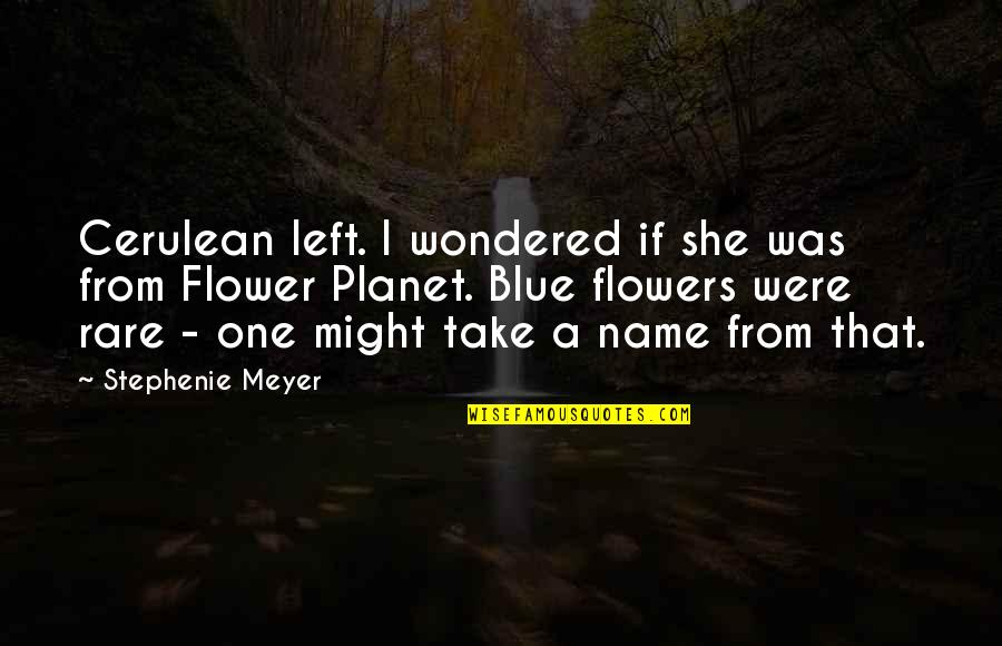 One Flower Quotes By Stephenie Meyer: Cerulean left. I wondered if she was from One Flower Quotes By Stephenie Meyer: Cerulean left. I wondered if she was from