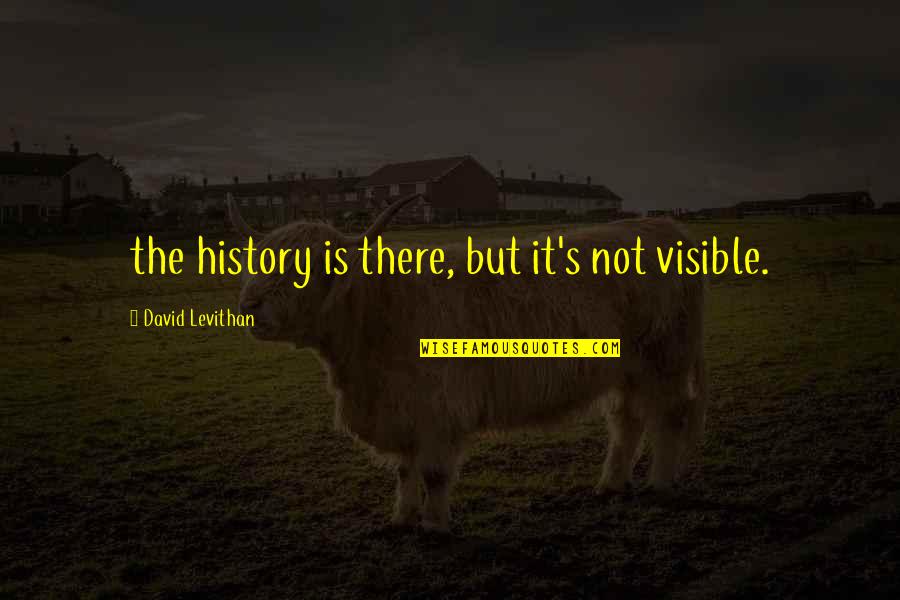 One Goal One Vision Quotes By David Levithan: the history is there, but it's not visible.