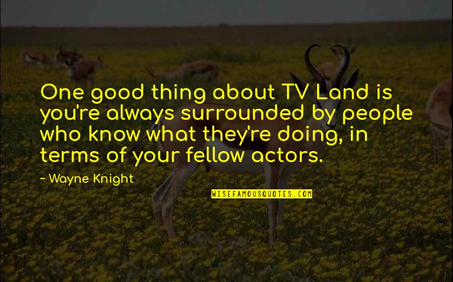 One Good Thing Quotes By Wayne Knight: One good thing about TV Land is you're