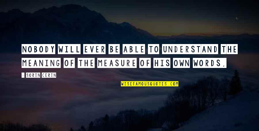 One Heartbeat Quotes By Sorin Cerin: Nobody will ever be able to understand the