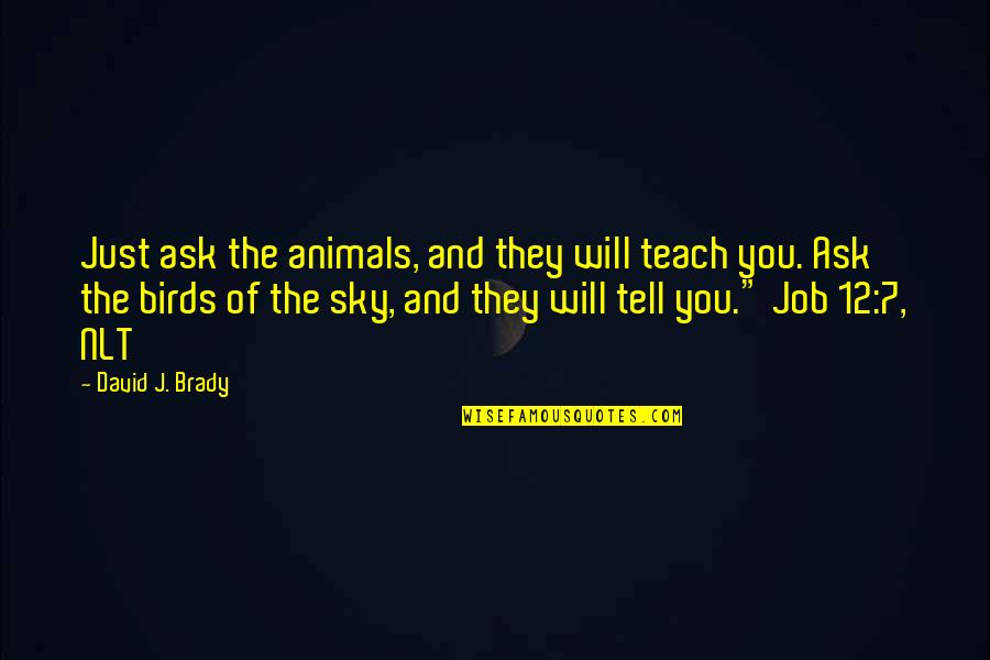 One Hour Of Television Quotes By David J. Brady: Just ask the animals, and they will teach One Hour Of Television Quotes By David J. Brady: Just ask the animals, and they will teach